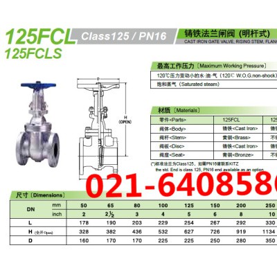 KITZ北泽闸阀_125FCL铸铁法兰闸阀_125FCL