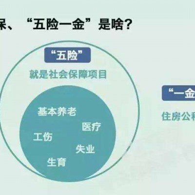 苏州社保服务公司，办理苏州五险一金公司，苏州社保外包代理公司