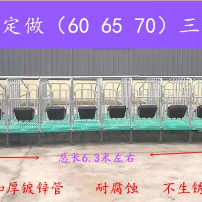 母猪定位栏  猪位加宽限位栏  生产销售