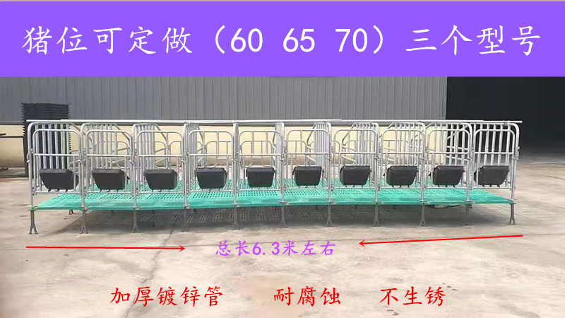 新款复合定位栏  母猪限位栏  养猪设备