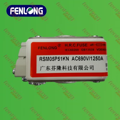 RSM01P51KN快速熔断器-FENLONG芬隆品牌