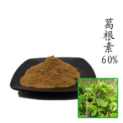 葛根素60% 葛根提取物 量大优惠