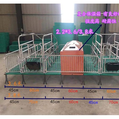 双体母猪产床 育保一体母猪产床生产厂家