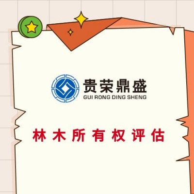 河南省商丘市网站商誉评估APP专利评估非专利技术评估