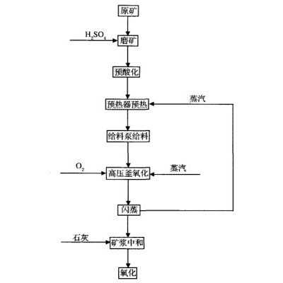 巩义铂思特高铜含砷金精矿处理方法，金精矿焙烧氰化提金工艺