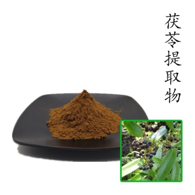 茯苓提取物10:1