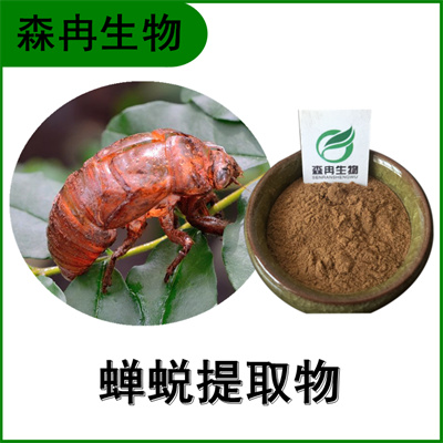 森冉生物 蝉蜕提取物 蝉衣提取物 蝉壳提取物