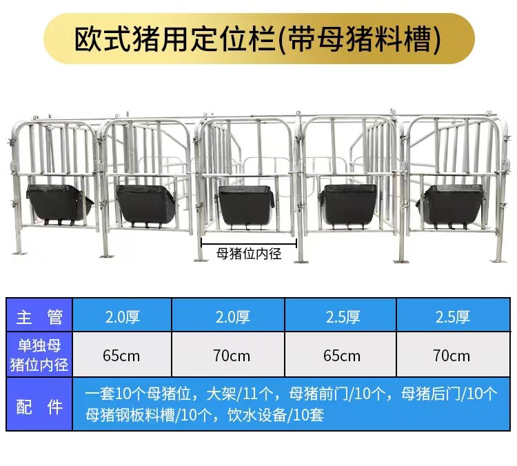 母猪限位栏定位栏