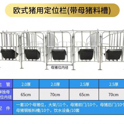 母猪限位栏定位栏