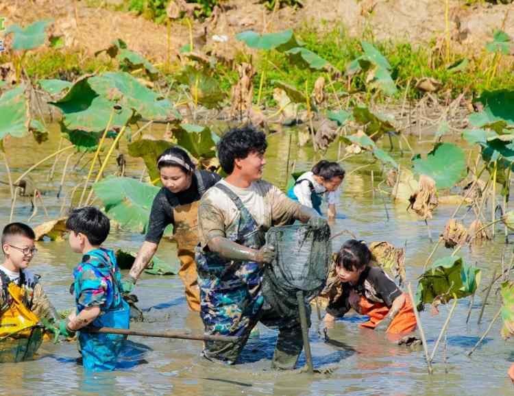 苏州研学基地趣味挖藕三六六社会实践邀你共赴田野体验探秘之旅